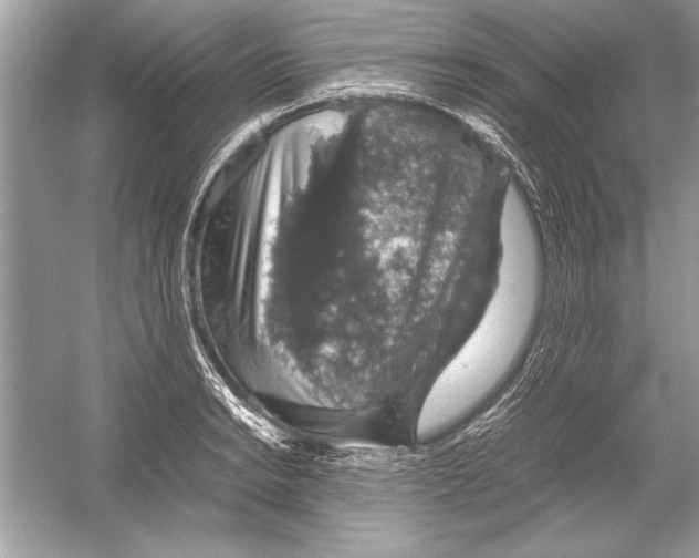 X0000051881038200507221944