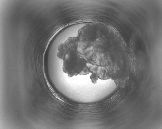 X0000051881039200507221944