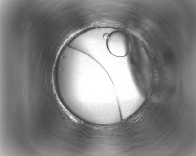 X0000051881040200507221944