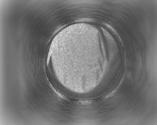 X0000051881041200507221944