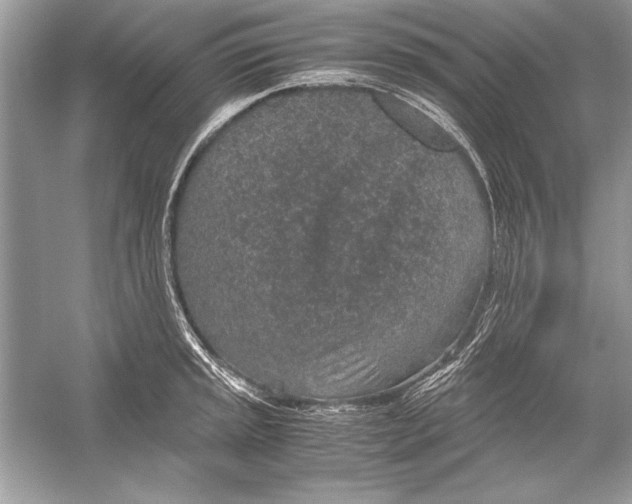 X0000051881045200507221944