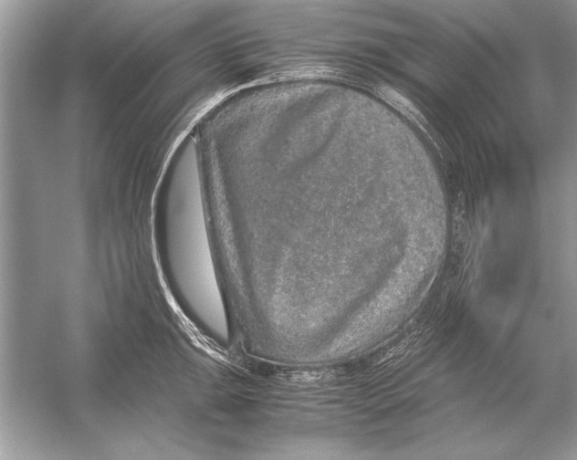 X0000051881047200507221944