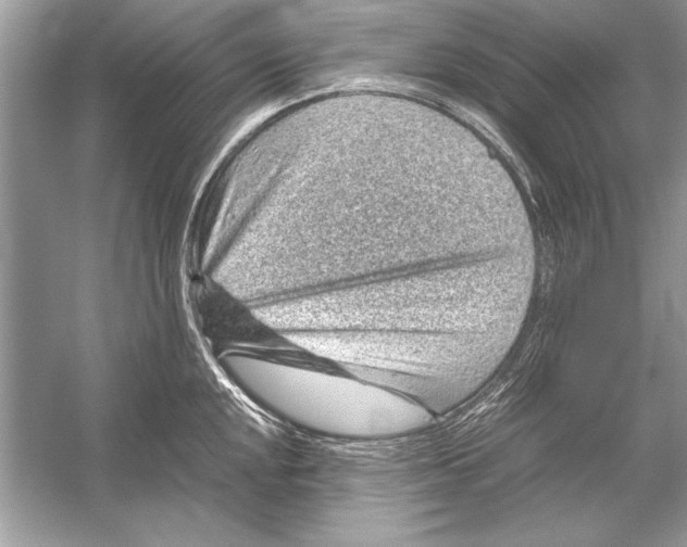 X0000051881048200507221944