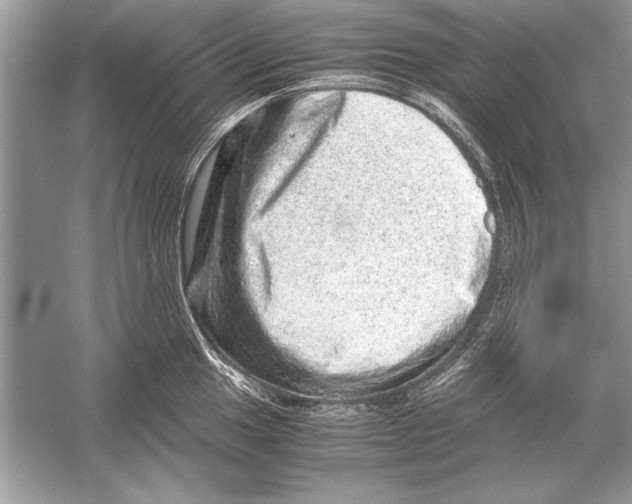 X0000051881049200507221944