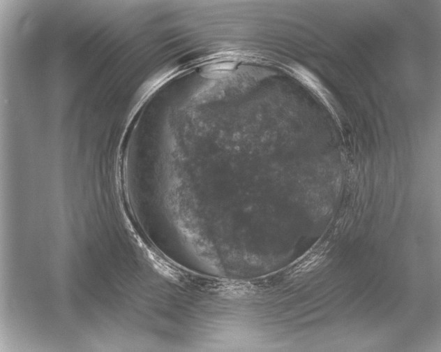 X0000051881050200507221944