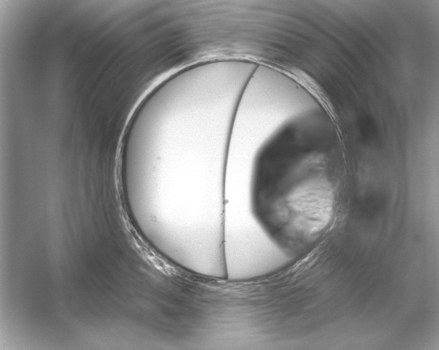 X0000051881052200507221944