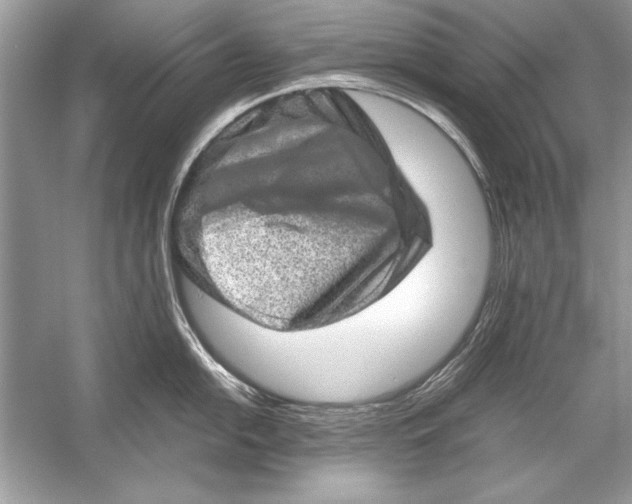 X0000051881054200507221944