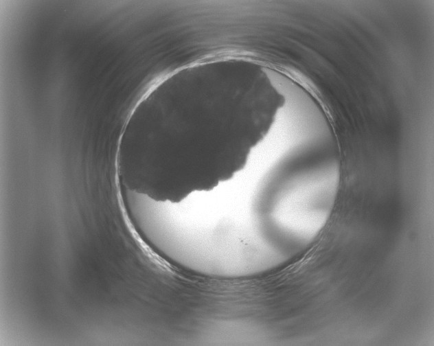 X0000051881055200507221944