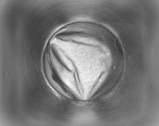 X0000051881056200507221944