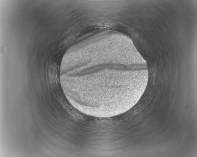 X0000051881058200507221944