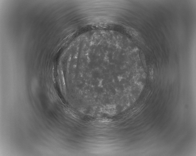 X0000051881060200507221944