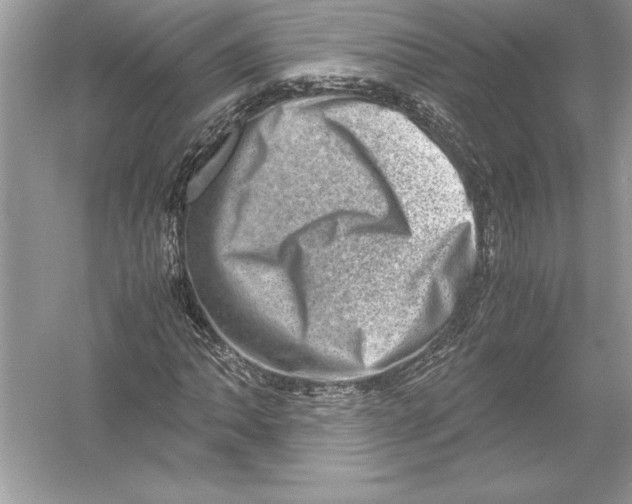 X0000051881062200507221944