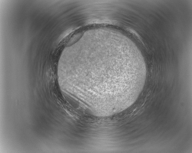 X0000051881064200507221943