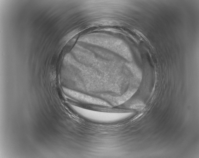 X0000051881065200507221943