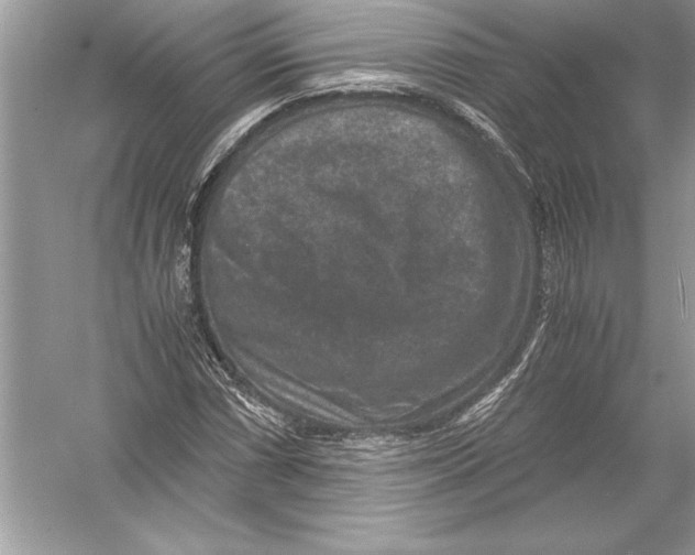 X0000051881066200507221943