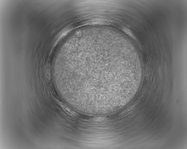 X0000051881067200507221943