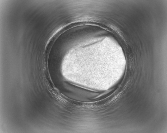 X0000051881069200507221943