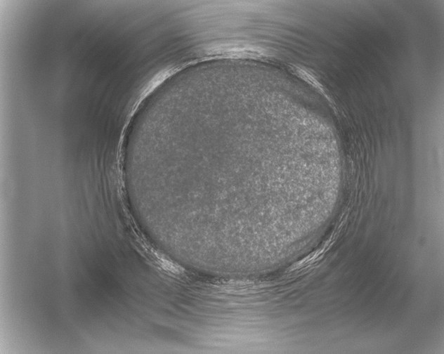 X0000051881071200507221943