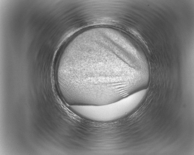 X0000051881072200507221943