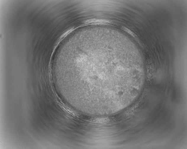 X0000051881074200507221943