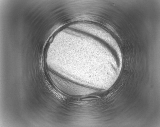 X0000051881076200507221943