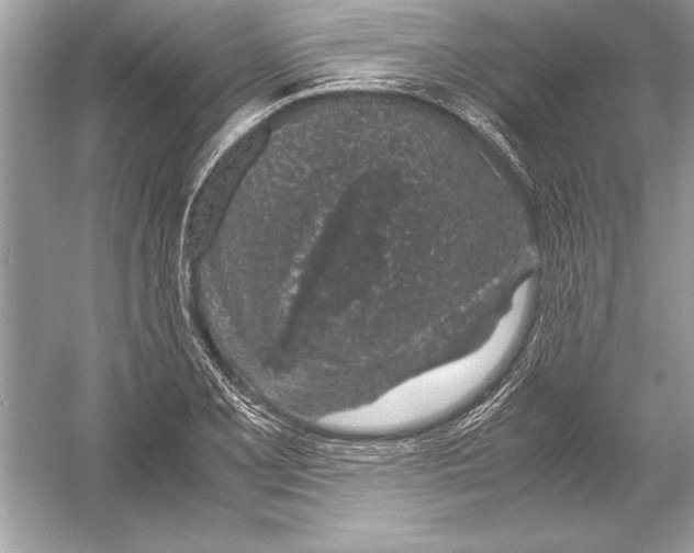 X0000051881077200507221943