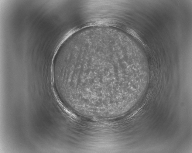 X0000051881079200507221943