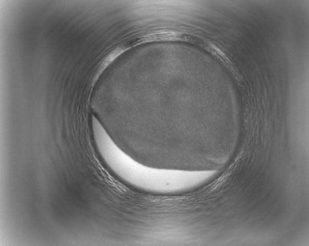 X0000051881081200507221943