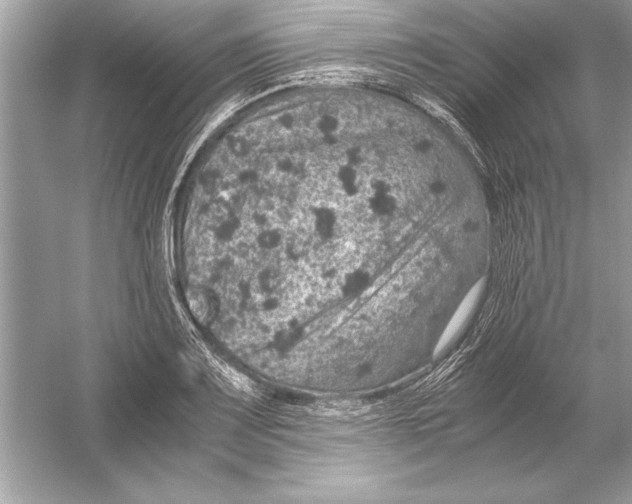 X0000051881083200507221943