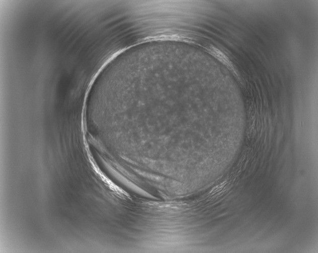 X0000051881084200507221943