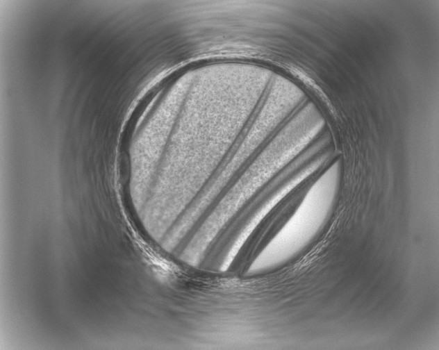 X0000051881085200507221943