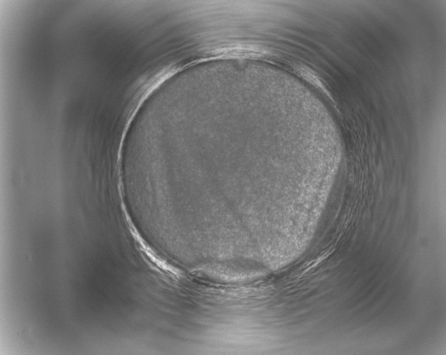 X0000051881087200507221943