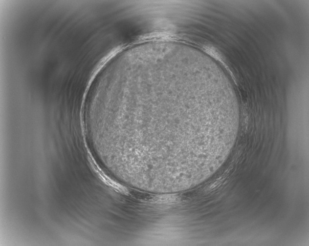 X0000051881090200507221943