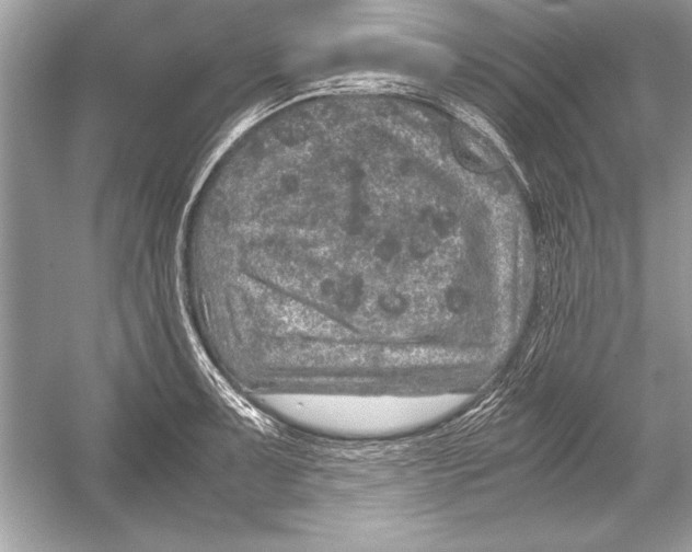 X0000051881091200507221943