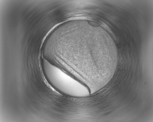 X0000051881092200507221943