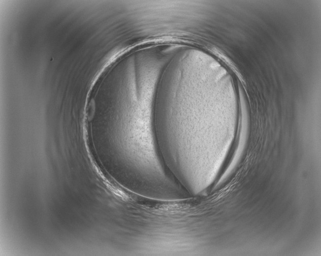 X0000051881093200507221943