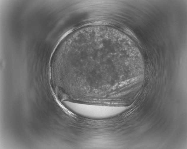 X0000051881095200507221943