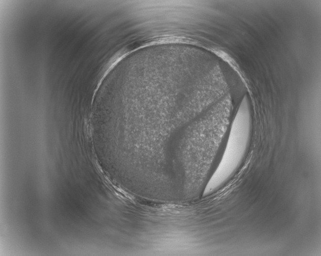 X0000051881097200507221943