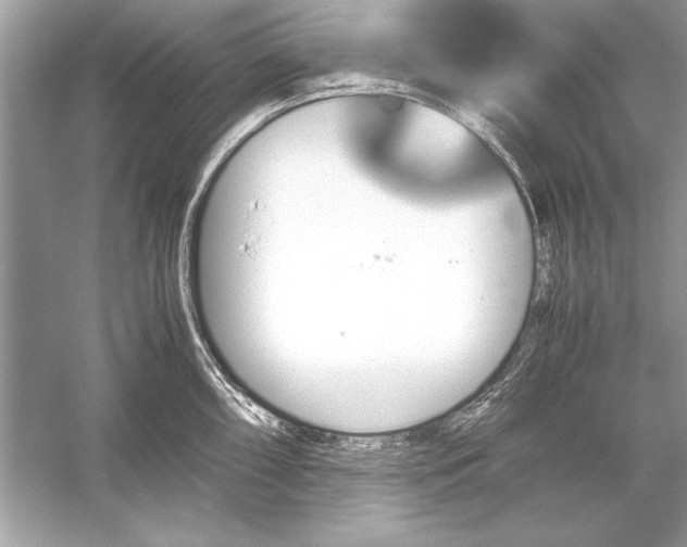 X0000051881098200507221943