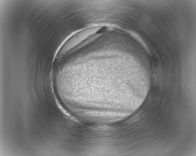 X0000051881100200507221943