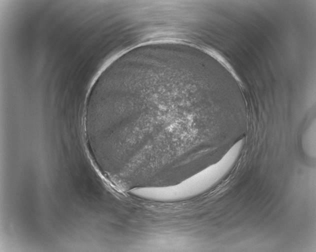 X0000051881101200507221943