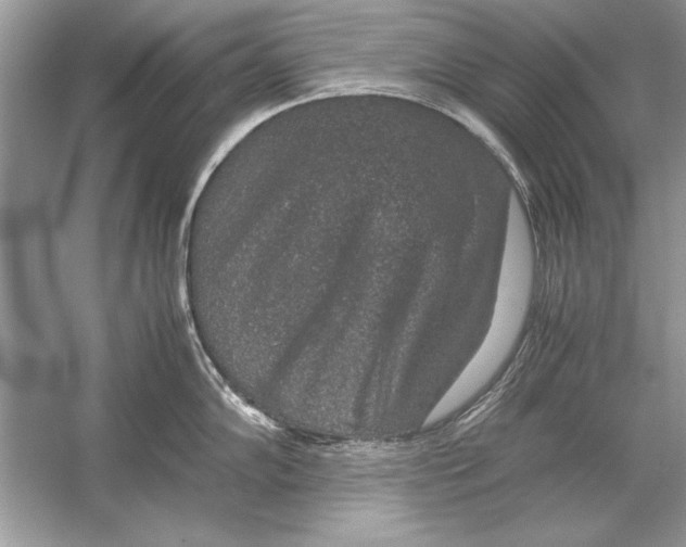 X0000051881102200507221943