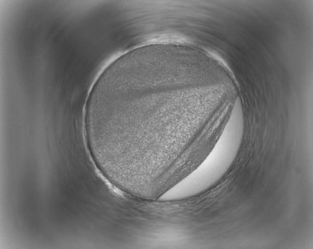 X0000051881103200507221943