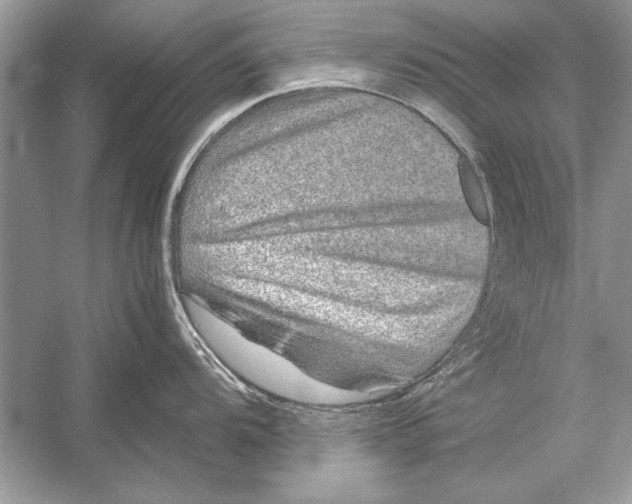 X0000051881104200507221943