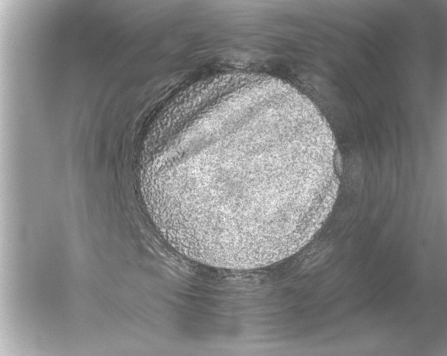 X0000051881105200507221942