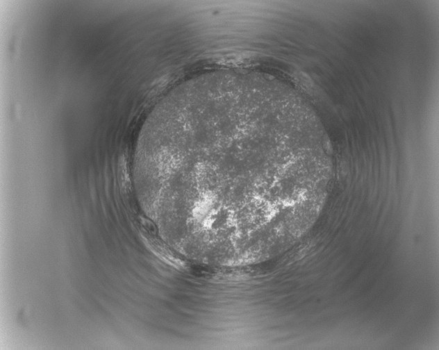 X0000051881106200507221942