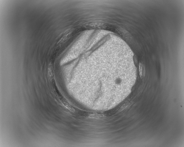 X0000051881107200507221942