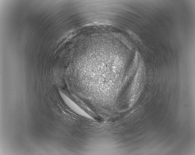 X0000051881110200507221942