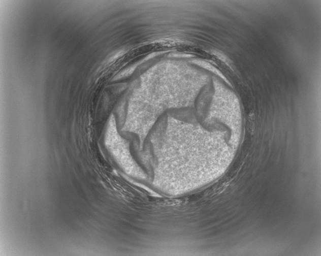 X0000051881111200507221942