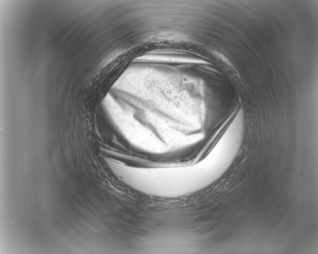 X0000051881112200507221942